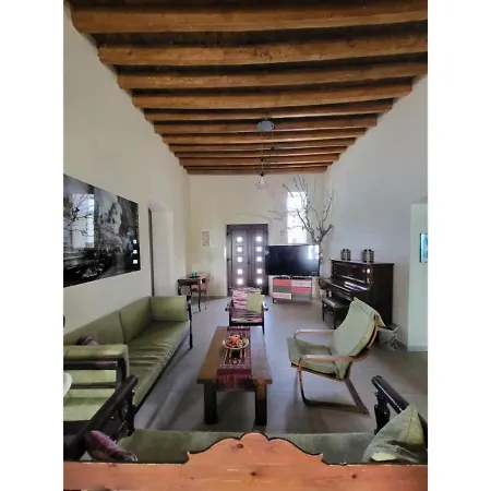 Two Pine Trees אלינדה