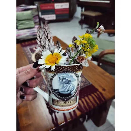 Two Pine Trees אלינדה