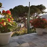 Vakantiehuis Two Pine Trees